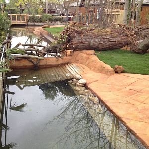 New pygmy hippo enclosure