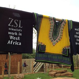 New pygmy hippo enclosure