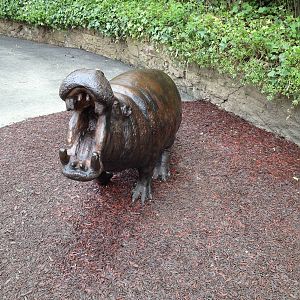 New pygmy hippo enclosure