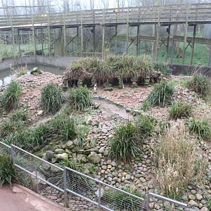 Penguin exhibit. 1-4-14