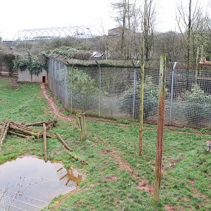 Jaguar enclosure 1-4-14