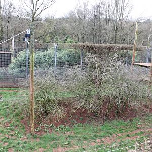 Jaguar enclosure 1-4-14