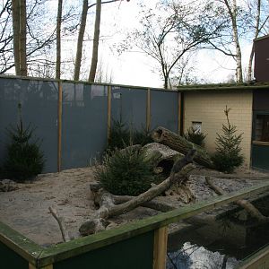 Asian small-clawed otter exhibit