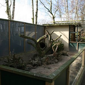Banded mongoose exhibit