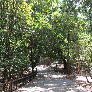 Zapotal forest entrance zoomat