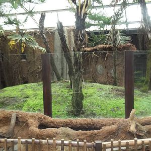 mixed marsupial exhibit
