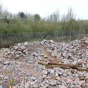 Snow Leopard enclosure.1-4-14