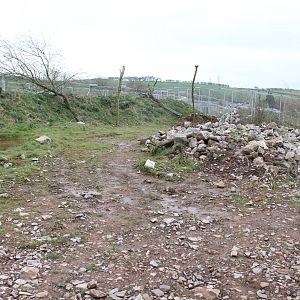 New enclosure. Wolf maybe?1-4-14