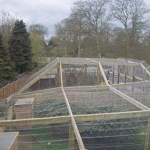 Looking out over the zoo, 6th April 2014