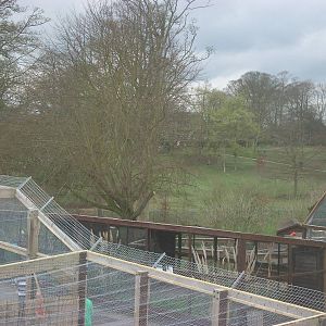 Looking out over the zoo, 6th April 2014