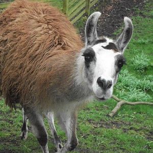 Brenda, 6th April 2014