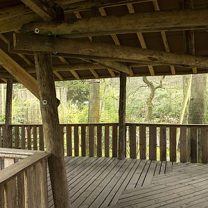 Gray langur aviary, 4/5/14