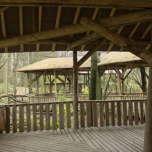 Gray langur aviary, 4/5/14