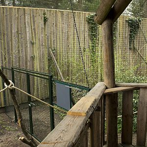 Gray langur aviary, 4/5/14