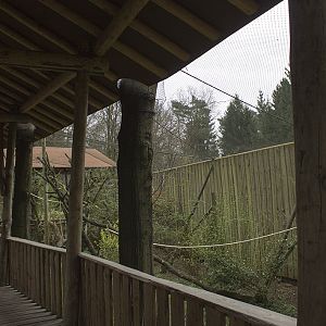 Gray langur aviary, 4/5/14