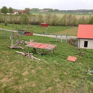 Rhesus macaque enclosure