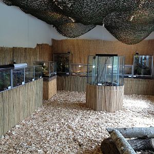 Reptile room