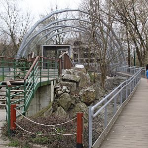 New aviary for Griffon Vultures