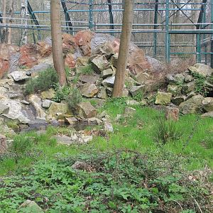 Pallas's Cats enclosure
