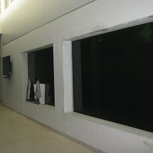 King Penguin House, underwater viewing