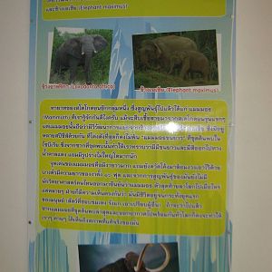 King Penguin House, mammoth signage