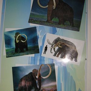 King Penguin House, mammoth signage