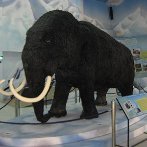 King Penguin House, mock-mammoth