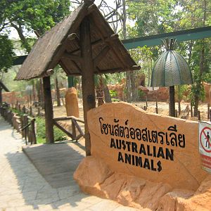 Australian Animals enclosure