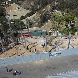 San Diego Zoo mountain lion exhibit construction March 2014