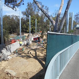 San Diego Zoo mountain lion exhibit construction March 2014