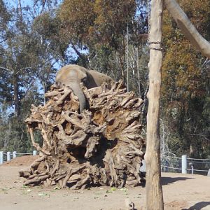 Getting to the root of the problem