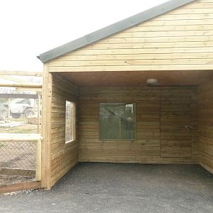 South American Primates