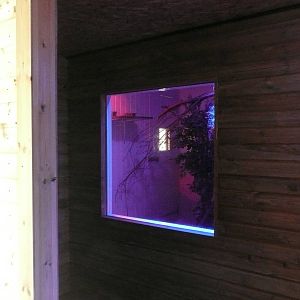 South American Primates