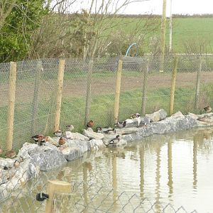 Remodelled Tapir Lake and Island