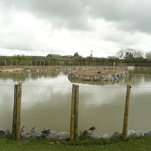 Remodelled Tapir Lake and Island
