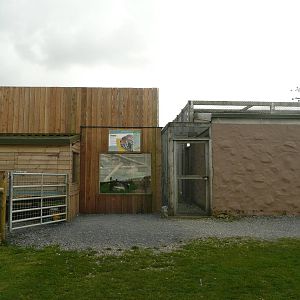 New Ocelot enclosure