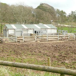 African Grasslands exhibit