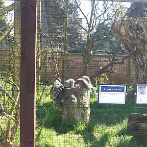 I am converted ! 11th April 2014