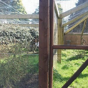 I am converted ! 11th April 2014