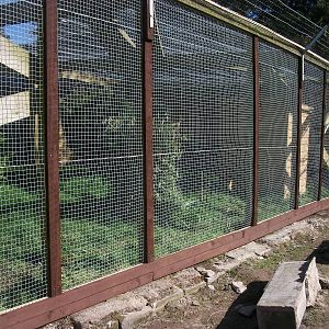 New mesh and wall removed at the end of the pheasant pens,11th April 2014