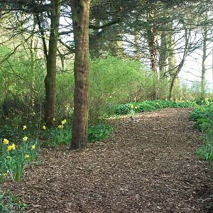 Path in Sewerby Hall and Gardens, 11th April 2014