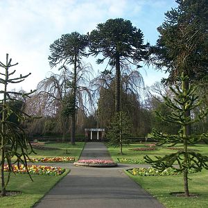 Early evening in the gardens, 11th April 2014