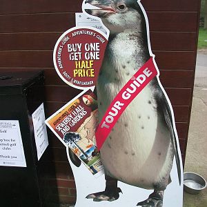 Flip Flop is your tour guide, 12th April 2014