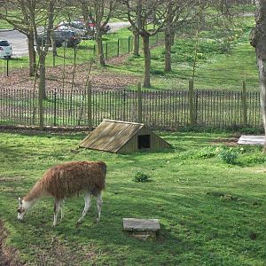 Brenda misses the plinth again, 12th April 2014