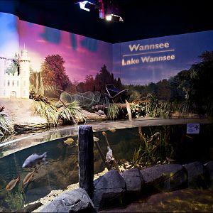 Lake Wannsee aquarium at Sealife Berlin