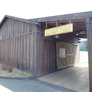 Snowy Owl Exhibit