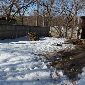 Greater Rhea Exhibit