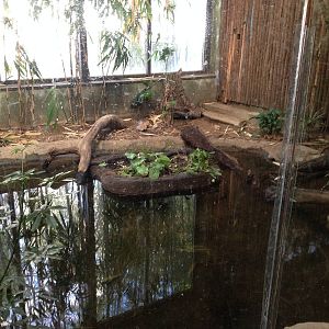 Caiman/Turtle Exhibit