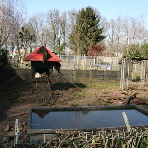 Racoon enclosure