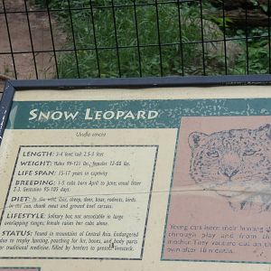 Snow Leopard Information Sign